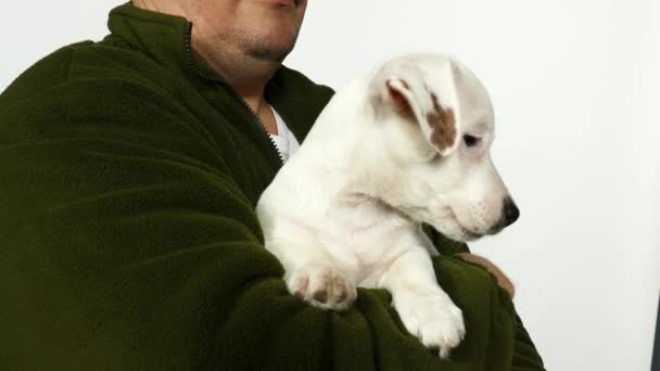 Man in in an green sweater holds a puppy in his arms. - Filmagem, Vídeo