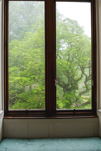古い窓、木、霧、薄暗いシーン外表示から表示します。. - 写真・画像