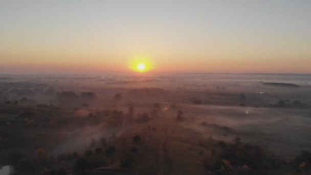Αεροφωτογραφία. Πετώντας στην ομίχλη, πετώντας στην ομίχλη. Αεροφωτογραφία κάμερας. Πτήση πάνω από τα σύννεφα προς τον ήλιο. Μίστι καιρός, θέα από ψηλά. Από την άποψη των πτηνών - Πλάνα, βίντεο