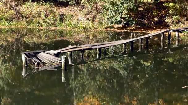 Fahíd a kicsit visszafogottabb kis régi híd a tavon. Őszi táj, a Városligeti tó - Felvétel, videó