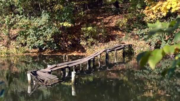 Puinen silta joen varrella Pieni vanha silta järvellä. Syksyllä maisema järven kaupungin puistossa
 - Materiaali, video