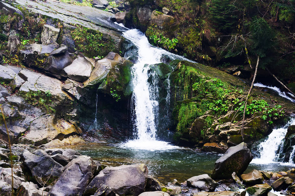 Cachoeira bela montanha entre as rochas e floresta de coníferas. Ucrânia, as montanhas dos Cárpatos. Paisagem montesa
. - Foto, Imagem