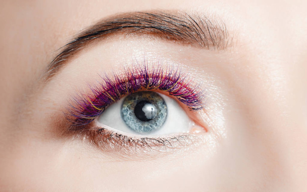 Eyelash extension procedure. - Photo, Image