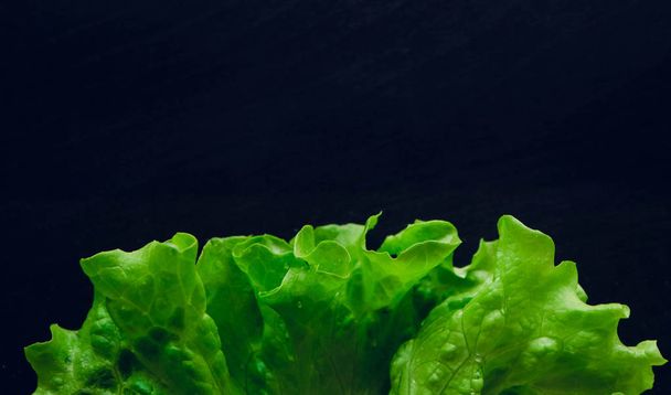 Fresh salad leaf with water drops, macro view on a black table. Green salad leaves backdrop. - Fotó, kép