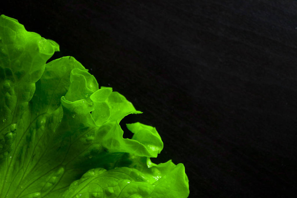 Fresh salad leaf with water drops, macro view on a black table. Green salad leaves backdrop. - Foto, imagen