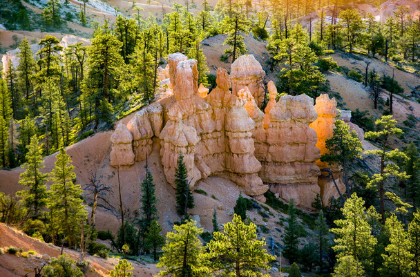 Hermoso paisaje en Bryce Canyon con magnífica formación de piedra como Anfiteatro, templos, figuras en la luz de la mañana
 - Foto, Imagen
