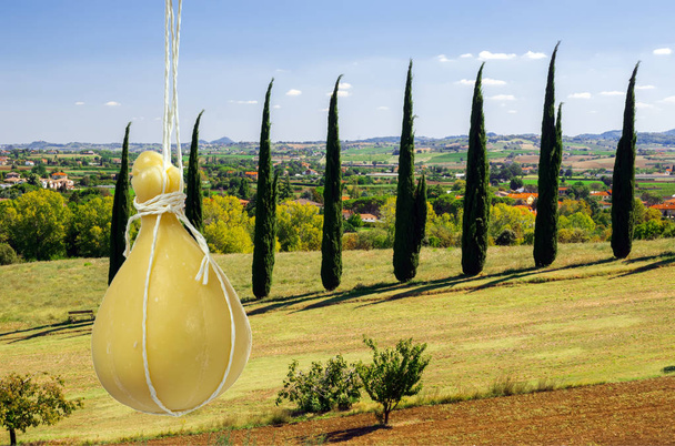 Типичный итальянский сыр Caciocavallo на фоне характерного итальянского пейзажа
 - Фото, изображение