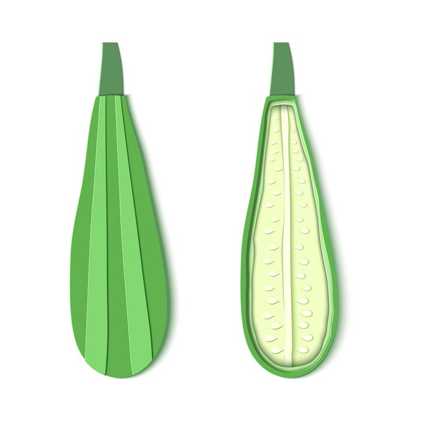 Set of two paper cut zucchini. Origami squash whole and half. Collection of vegetable marrow. Vector card illustration. Harvest courgette organic ingredient in paper art style. - ベクター画像