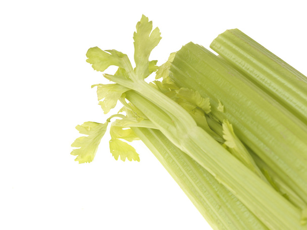 Fresh Celery - Photo, Image