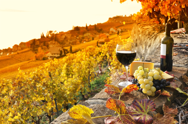 üveg vörös bort a teraszon szőlőültetvényen régióban lavaux, Mária - Fotó, kép