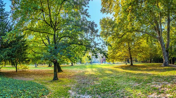 ヴィースバーデン、ドイツの Kur 公園でインドの夏の木色します。 - 写真・画像