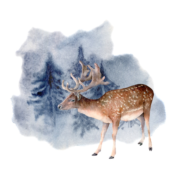 Ciervo acuarela en bosque invernal. Ilustración animal pintada a mano con ciervos en barbecho y pinos aislados sobre fondo blanco. Clip de vacaciones para el diseño, impresión. Tarjeta de Navidad
. - Foto, imagen