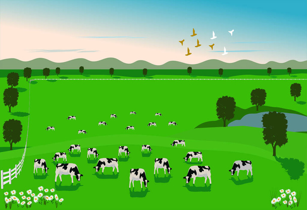 Le mucche stanno mangiando erba in un campo verde con una recinzione bianca circondata. C'è una montagna sullo sfondo
. - Vettoriali, immagini