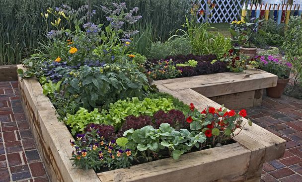 Aktivována zeleninové zahradě se brutnák, rajčaty, hlávkovým salátem a macešky v dlážděné prostoru - Fotografie, Obrázek