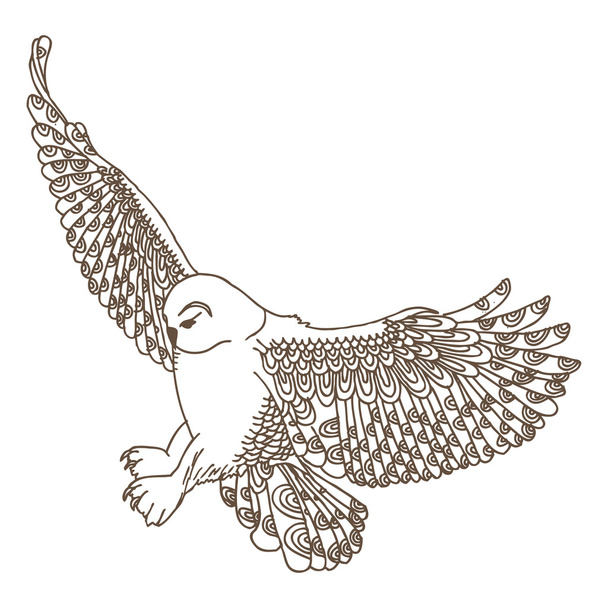 Owl flying - Διάνυσμα, εικόνα