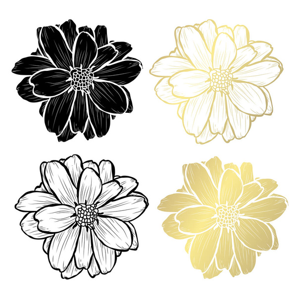 Decorative dahlia flowers, design elements. Can be used for cards, invitations, banners, posters, print design. Golden flowers - Vektör, Görsel