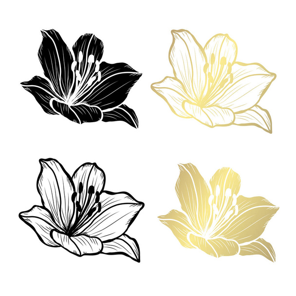 Decorative lily  flowers, design elements. Can be used for cards, invitations, banners, posters, print design. Golden flowers - Wektor, obraz