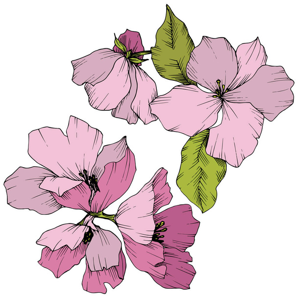 Vektor. Es blühen Blumen. rosa und grün gravierte Tuschekunst. i - Vektor, Bild
