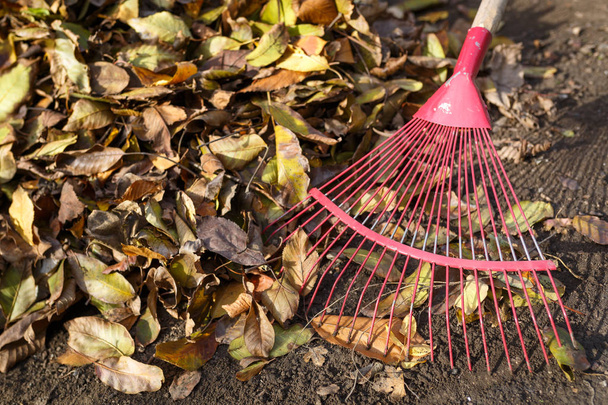 Fallendes Laub im Garten im Herbst mit einer Harke reinigen. Nahaufnahme - Foto, Bild