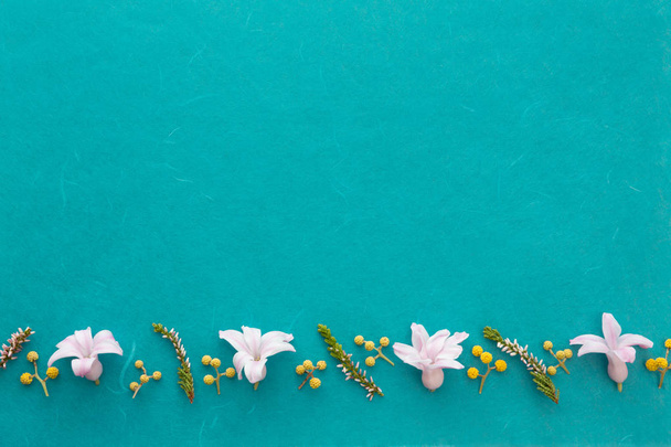 Marco de primavera con hojas, flores y semillas sobre fondo azul
. - Foto, imagen