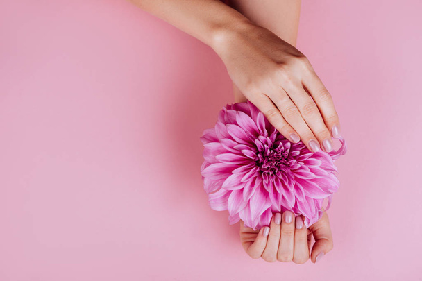 Closeup fingernails with pink fashion manicure, cupped woman beautiful manicured hands holding pink flowers - Photo, image