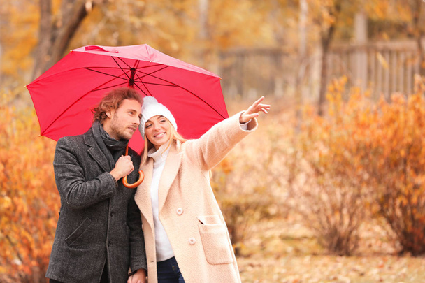 Jonge romantische koppel met paraplu in park op herfstdag - Foto, afbeelding