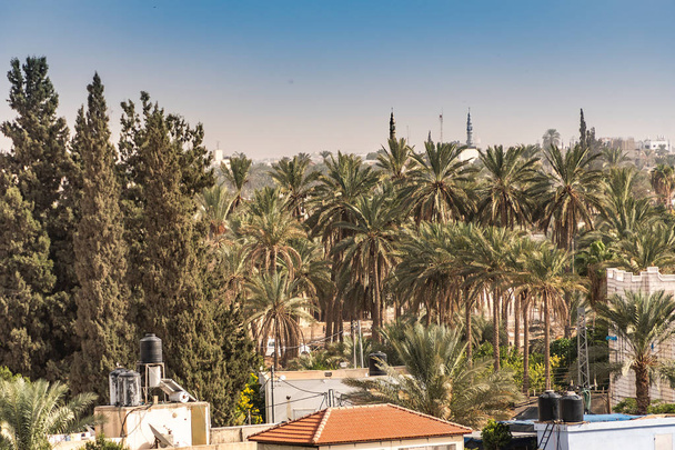 palmeiras nos arredores da cidade de jericó e cúpulas de mesquitas no centro da cidade. Cisjordânia palestina
 - Foto, Imagem
