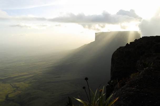 Mount Roraima Zirvesi - Venezuela - Fotoğraf, Görsel