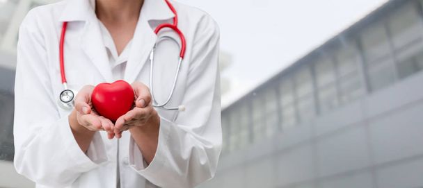 Lekarz trzymając czerwone serce w siedzibie szpitala. Medyczną koncepcję usługi personelu opieki zdrowotnej i lekarz. - Zdjęcie, obraz