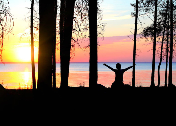 Happy Kid Silhouette avec les mains en l'air dans la forêt au coucher du soleil
 - Photo, image