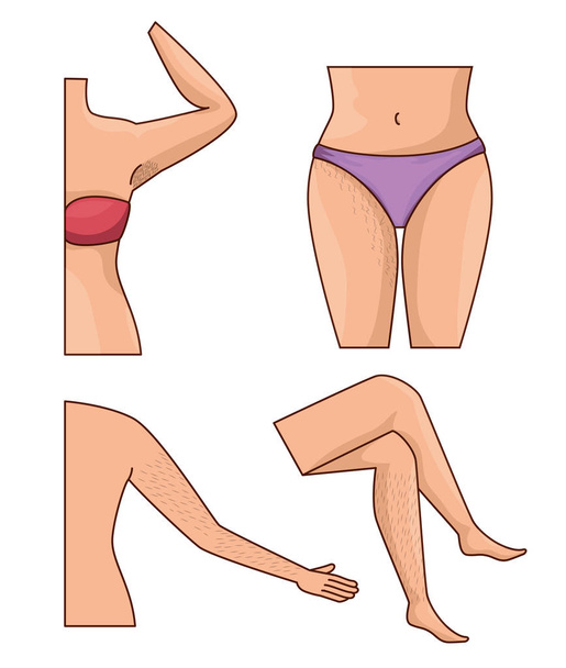 woman body parts with hair removal icons vector illustration design - Vector, Image