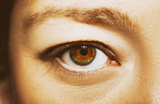 A beautiful insightful look woman's eye. Close up shot. - Photo, Image