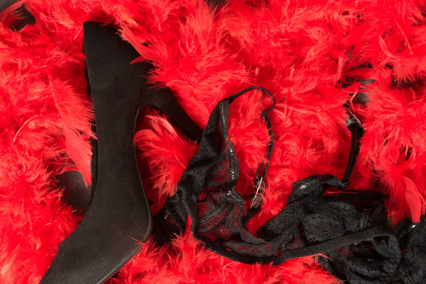 Salto alto e lingerie em uma almofada em penas vermelhas
 - Foto, Imagem