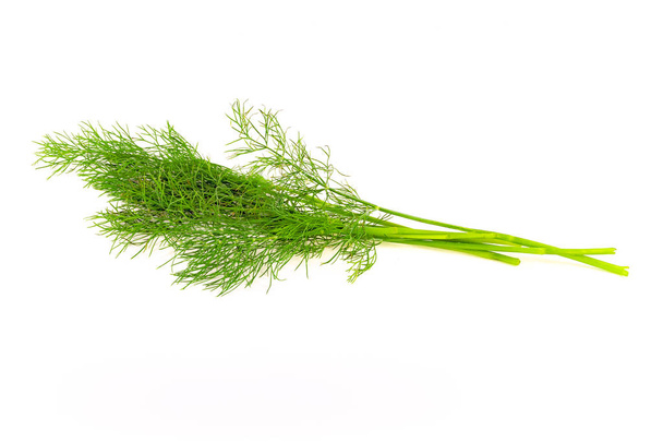 Several sprigs of dill large - Foto, Bild