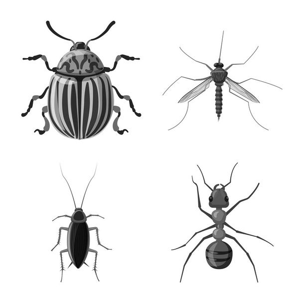 Böcek ve sinek simgesi yalıtılmış nesne. Böcek ve öğe hisse senedi vektör çizim topluluğu. - Vektör, Görsel
