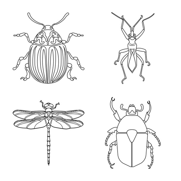 Isolated object of insect and fly sign. Set of insect and element stock symbol for web. - Διάνυσμα, εικόνα