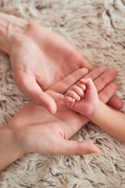 bebé recién nacido de palma sobre un fondo claro
 - Foto, Imagen