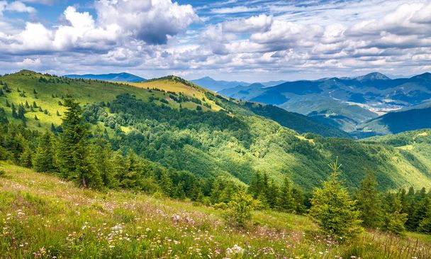 Tavaszi táj füves rétek és a hegycsúcsok, kék ég, a felhők, a háttérben. A Donovaly területén Veľká Fatra Nemzeti Park, Szlovákia, Európa. - Fotó, kép