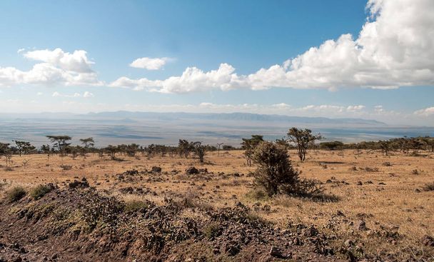 Góry w Tanzanii, w dolinie Ngorogoro - Zdjęcie, obraz