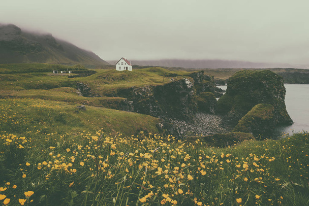 Dramatic vintage summer landscape, lonely house on the volcanic cliffs flowering seacoast, Arnarstapi, Snaefellsnes peninsula, Iceland - Foto, imagen