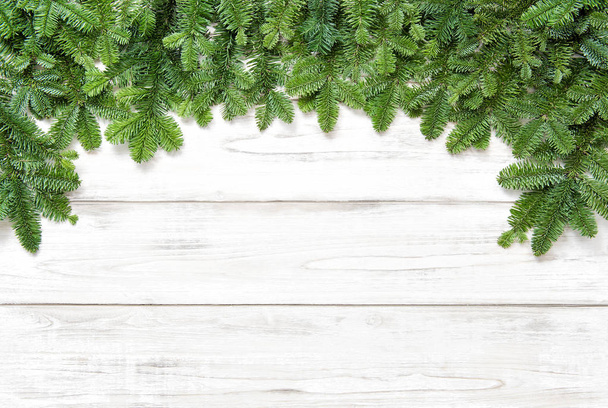 Christmas tree branches on bright wooden background. Floral header - 写真・画像