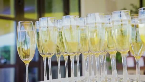 Glazen champagne close-up - Video