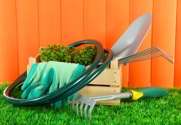 Garden tools on grass in yard - Zdjęcie, obraz
