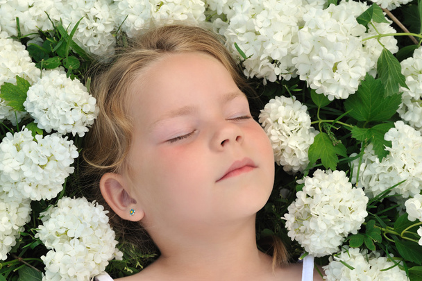Little girl laying in flowers - snowball - Photo, Image