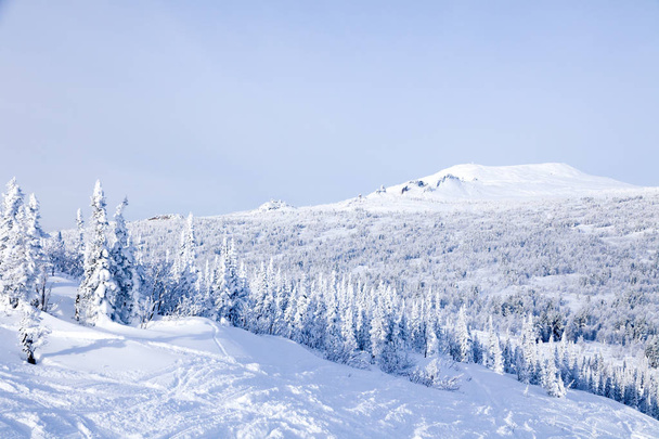 Vista panoramica dall'alto dei paesaggi montani valle invernale, cime innevate di montagne e alberi, colline. Concetto Alpi svizzere, Krasnaya Polyana, Sochi, Sheregesh, Austria
 - Foto, immagini