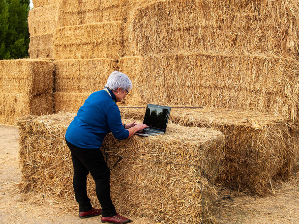 Een ondernemer senior vrouw werkt buiten op een boerderij met een laptop via een baal hooi - Foto, afbeelding