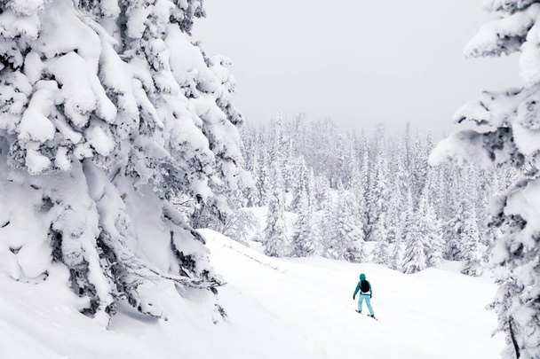 Rússia, Sheregesh 2018.11.18 Esquiadores profissionais em sportswear brilhante e roupas esqui downhill em montanhas altas ensolaradas nevadas. Borrão, foco suave, objeto em movimento. Conceito de descanso seguro
 - Foto, Imagem