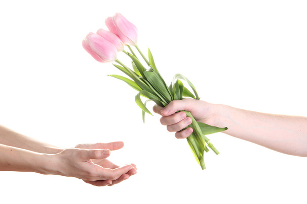 Mans hand giving woman's hand a flower bouquet with tulips, isolated on white - Фото, зображення