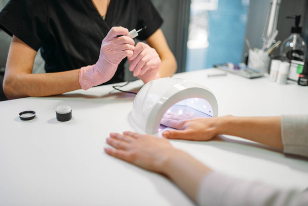 Female client dries gel varnish in the nail dryer, beautician in pink gloves on background, beauty salon. Manicurist doing hands care cosmetic procedure - 写真・画像