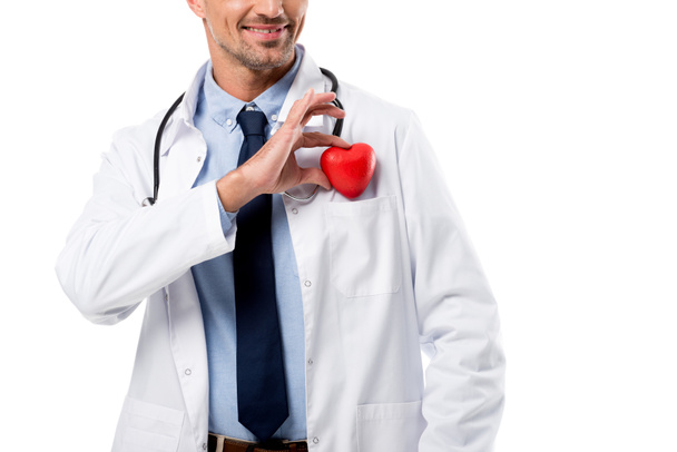 cropped view of doctor holding heart model in hand isolated on white, heart healthcare concept - 写真・画像